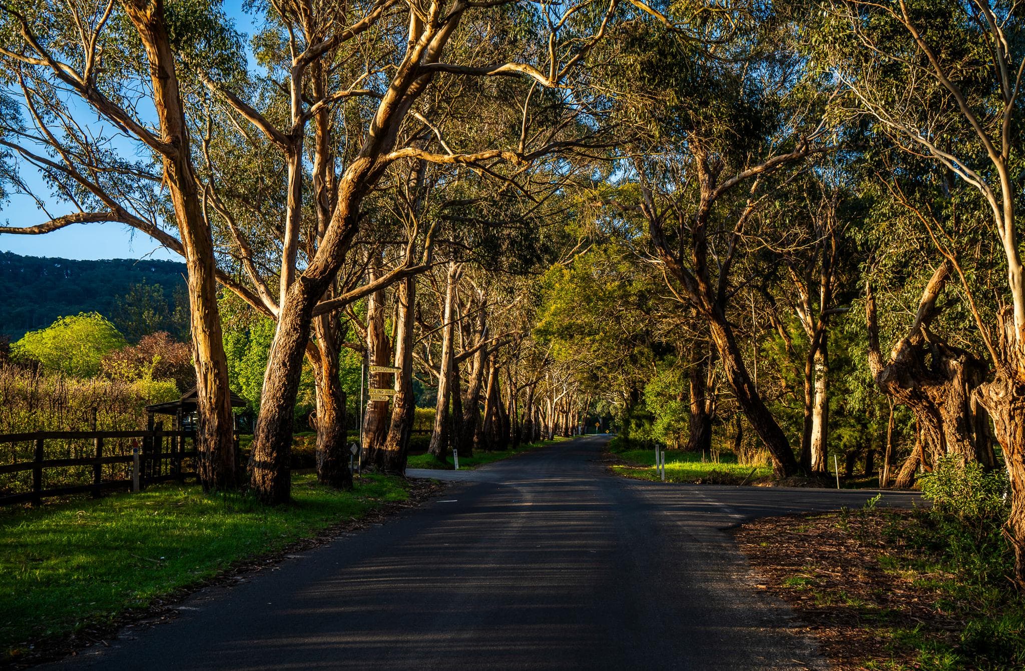 Macedon Lodge